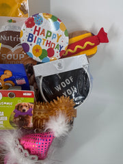 For our furry family members