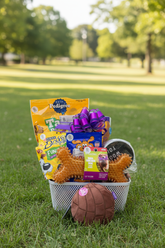 Dog Basket - Outdoor Background